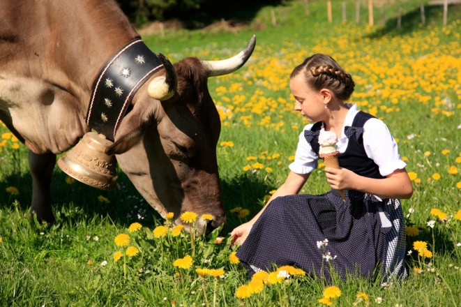 Der Eisladen Ofterschwang - die Wiesen liefern hochwertige Alpenmilch