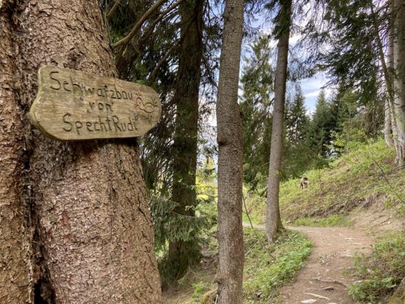 Hochbichl Hütte in Ofterschwang