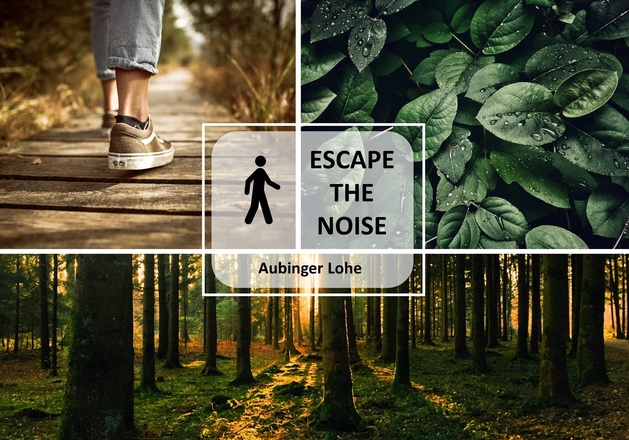 Feierabend-Spaziergang: Aubinger Lohe