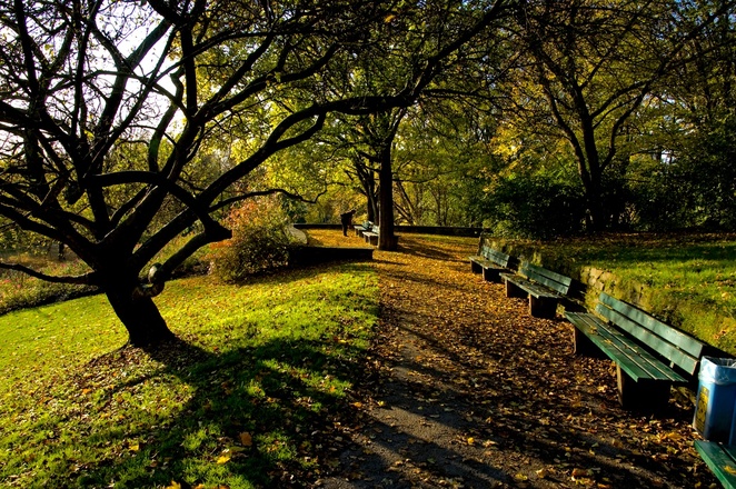 Der Luitpoldpark in München im Herbst