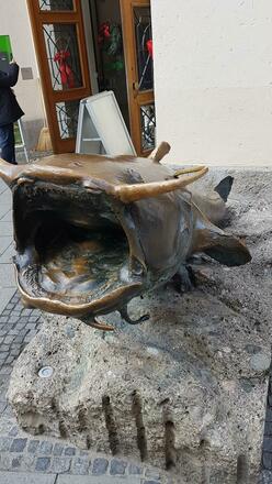 Das Berühren des Wels bringt Glück 