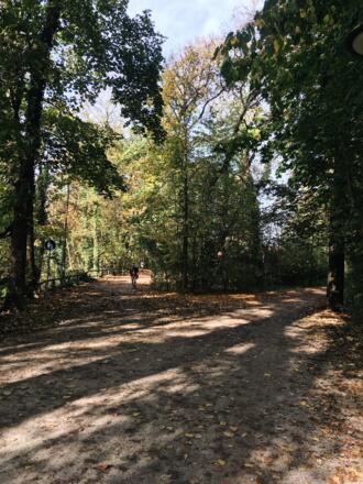 Weg auf Isarinsel