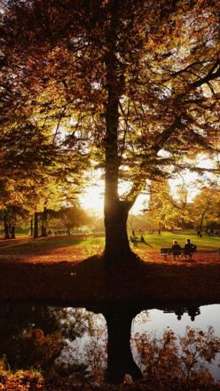 Englischer Garten Herbst Wasserspiegelung
