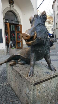 Das Berühren des Ebers bringt Glück 