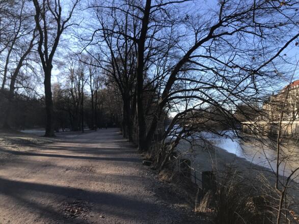 Maximiliansanlagen an der Isar