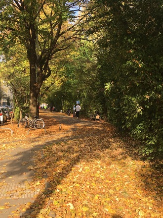Weg entlang des Alten Südfriedhofs