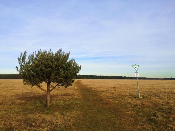 Naturschutzgebiet Panzerwiese und Hartelholz