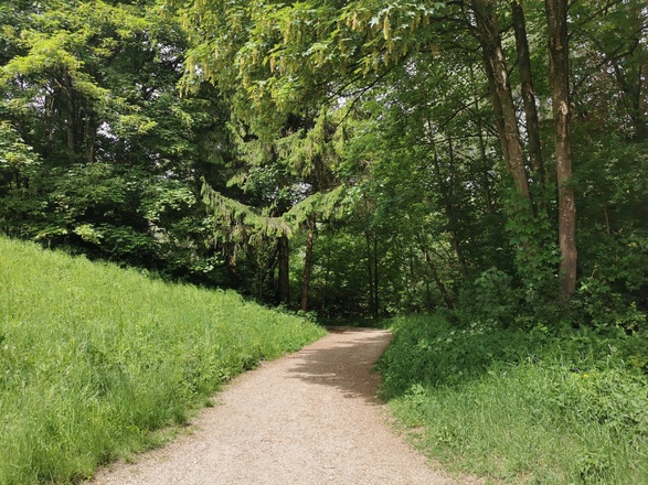 Weg in der Aubinger Lohe