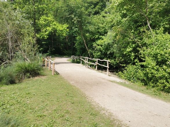 Weg zwischen den Weihern der Aubinger Lohe