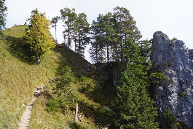 Südseite des Marienbrückenweges