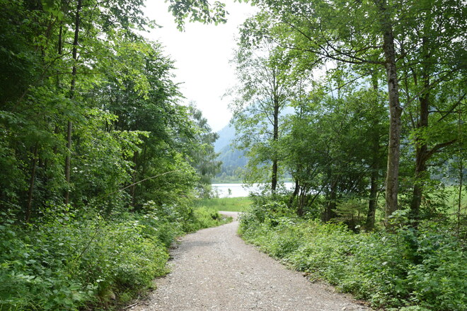 Wanderweg zum Schwansee