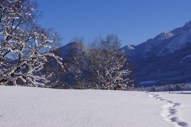 Kurpark Schwangau
