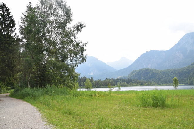 Schwansee mit Schloss Neuschwanstein und Schloss Hohenschwangau