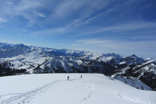 Skitour Hochblasse - kurz vor dem Gipfel