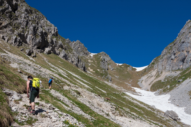 Bergtour - Hochblasse, im Roggental