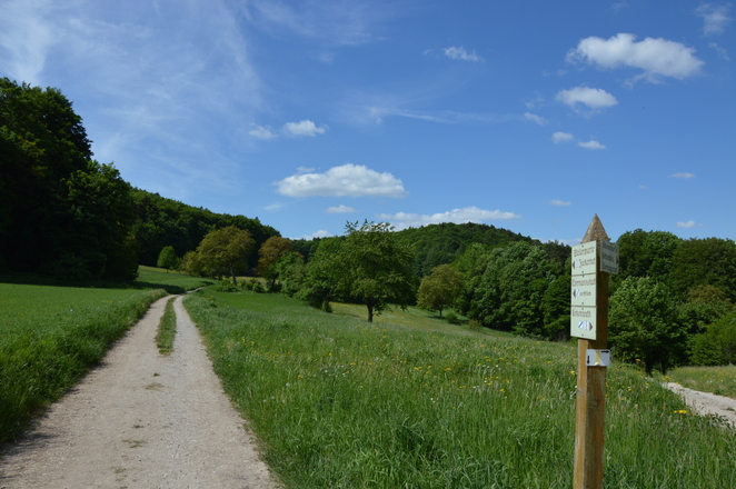 Zum – fränkischen – Zuckerhut