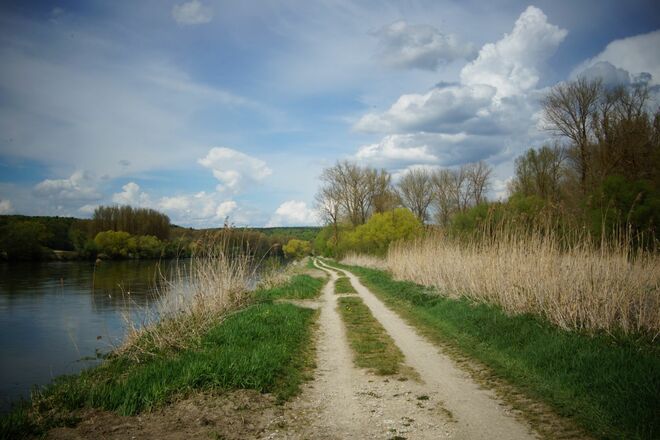 Donauauen bei Staubing (Kelheim)