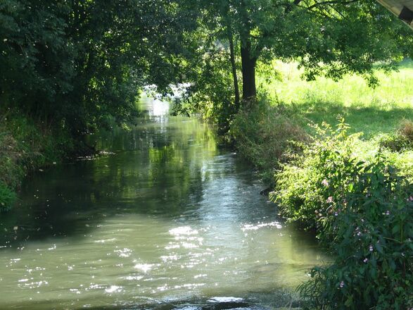 Das Flüsschen Abens in Abensberg im Hopfenland Hallertau