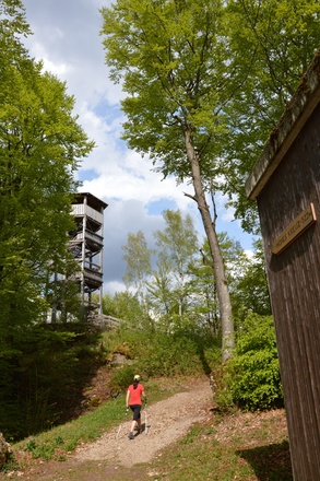 Der Aussichtsturm Hohes Kreuz ist erreicht