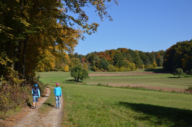 Von Birkenreuth nach Trainmeusel