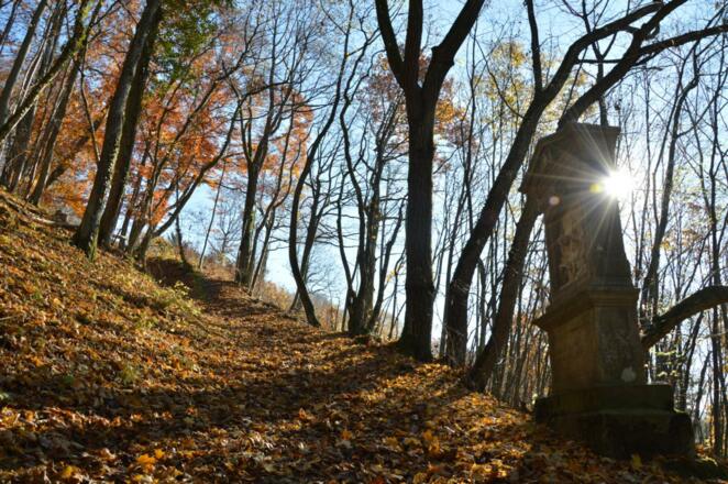 Kreuzweg von Wallerwarte nach Ebermannstadt