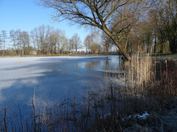 Gögginger Kurpark im Winter