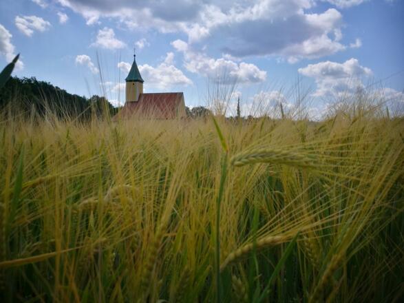 Sonntag, 3. Juni 2018 16:44:24