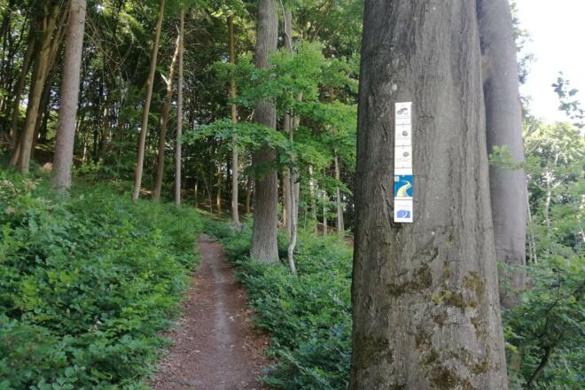 Auf dem Weg zum Aussichtspunkt Wieserkreuz