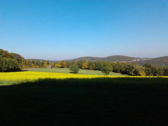 Blick von der Jurahöhe bei Trainmeusel auf die andere Talseite des Wiesenttals