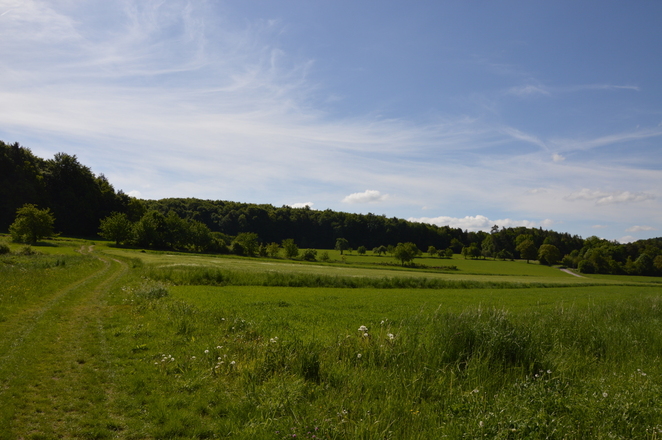 Auf der Jurahöhe über Wiesen und Felder