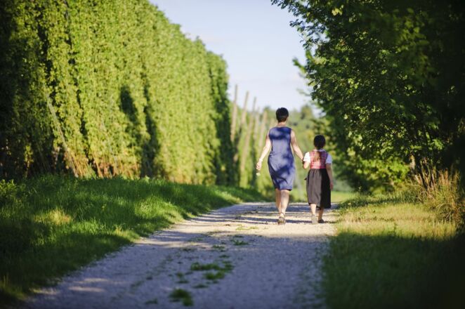 Wanderung auf dem Erlebnispfad Hopfen und Bier rund um Mainburg