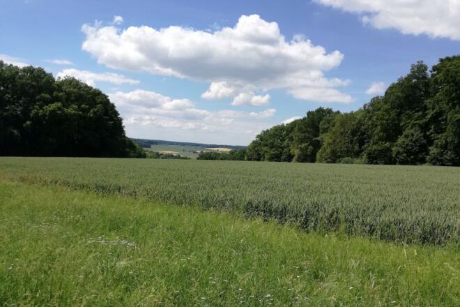 Herrlicher Blick vom Arzberg auf die Donauauen bei Weltenburg