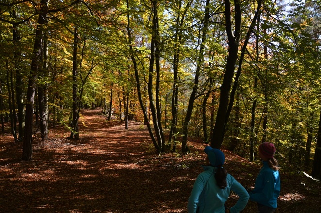 Herbstliche Farbenspiele in der Fränkischen Schweiz