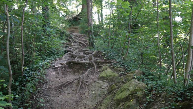 Wanderweg Doppelmayr-Zoo nach Bildstein