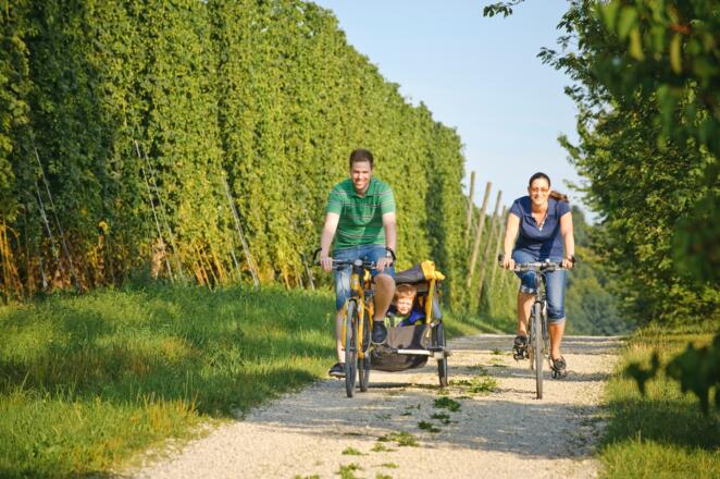 Radfahren im Hopfenland Hallertau