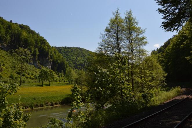 Wald, Wasser, Wiesen ~ Wiesenttal