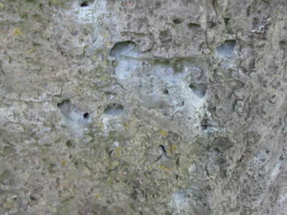 bester Kalk mit den typischen Löchern des Frankenjura
