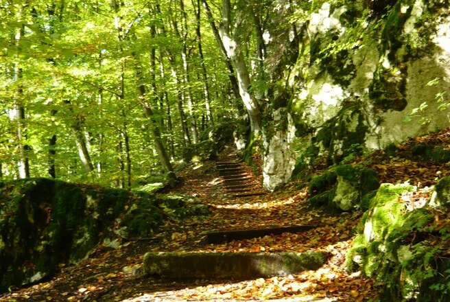 in der Klamm bei Riedenburg