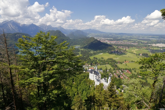 Blick auf Schloss Neuschwanstein