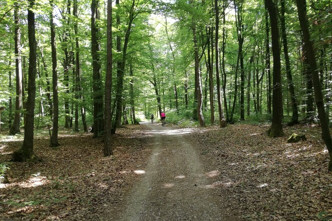 Radtour zum Kloster Weltenburg