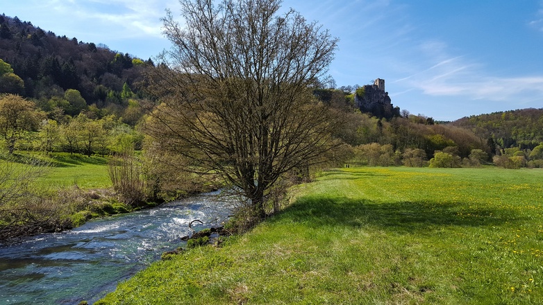 Blick aus dem Wiesenttal zur Burg Neideck