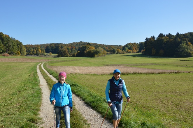 Am Ortsrand von Birkenreuth