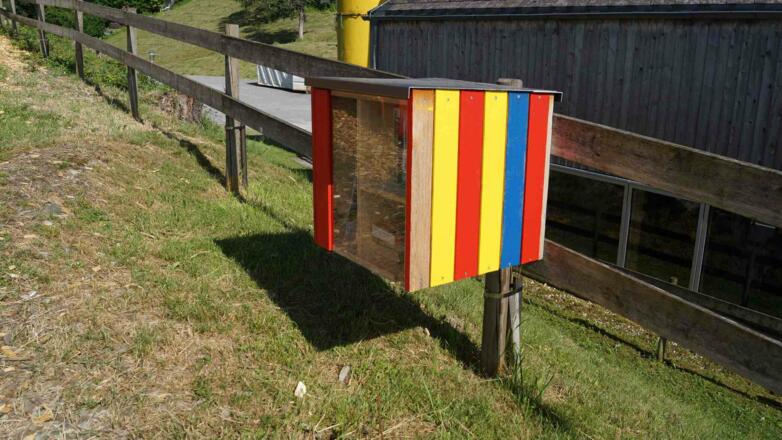 Bücherkasten Bildstein