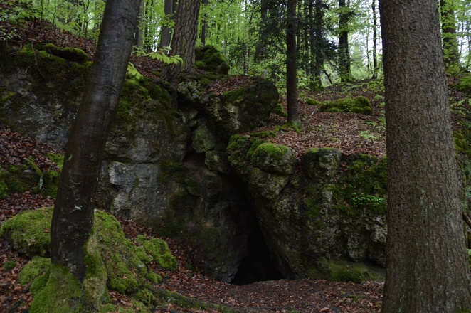 im Zauberwald zwischen Burggaillenreuth und Wohlmannsgesees