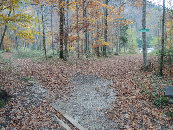 ...und an der Gabelung links