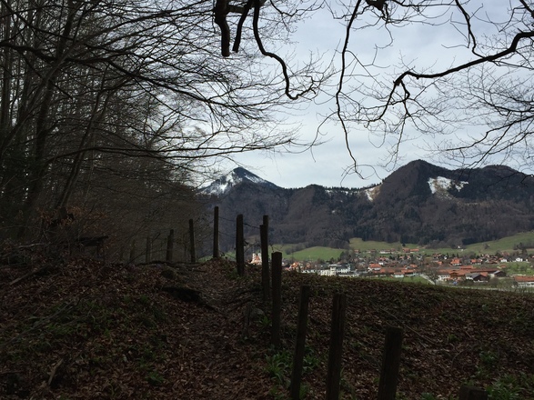 Blick auf Aschau i.Chiemgau