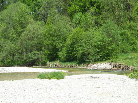 Am Rückweg Pause an der Prien kurz vor der Autobahnunterführung