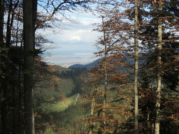Ausblick auf den Chiemsee