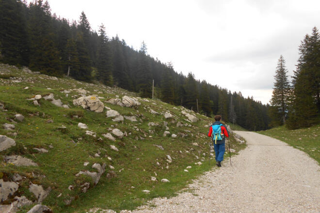 Wanderweg zur Riesenhütte