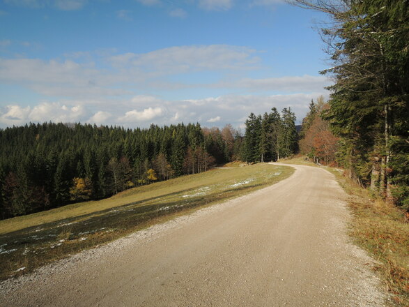 Forststraße Richtung Aschau